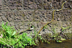 ヘビーにつき閲覧注意！　