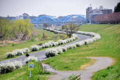 多摩川　川崎市　等々力緑地公園付近　２