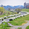 多摩川　川崎市　等々力緑地公園付近　２