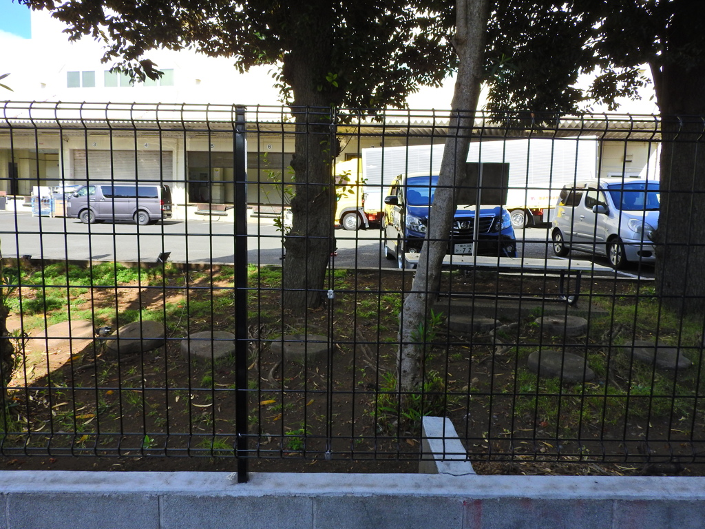 高木に洗濯物が・・・その後のその後のその後・・・消えた