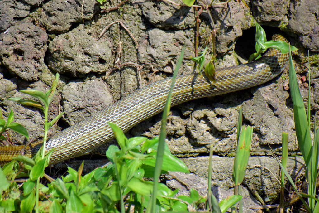 ヘビーにつき閲覧注意！　