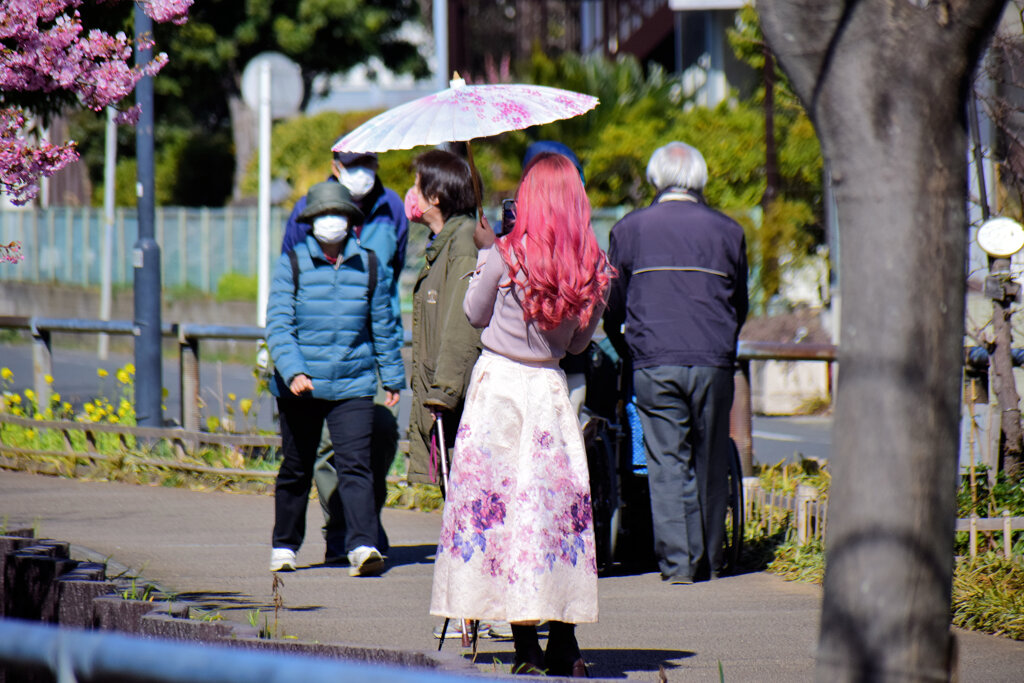 せせらぎ遊歩道でカメラ女子　2/3