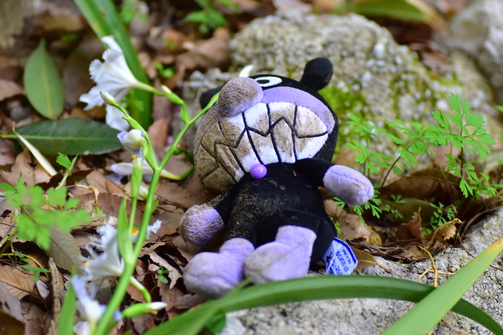 里山に落ちていたバイキンマン　1/2