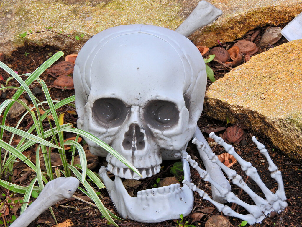 ハロウイン　グッツ　Shopの玄関で　２