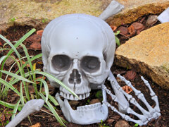 ハロウイン　グッツ　Shopの玄関で　２