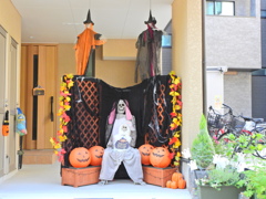 ハロウィーン　１１