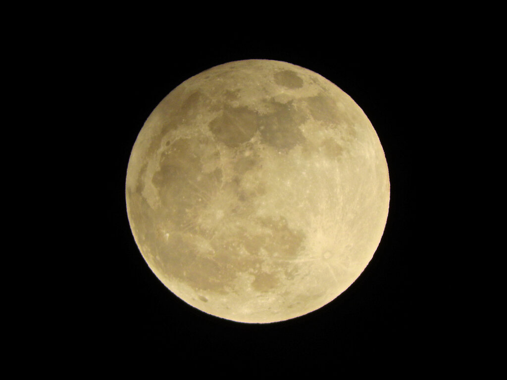 今宵のお月様・ビーバーMoon８
