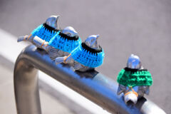 久々に服を着ました⌒(ё)⌒　１