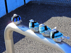 北風ピューピュー　服を着せて貰ったチュン⌒(ё)⌒　１