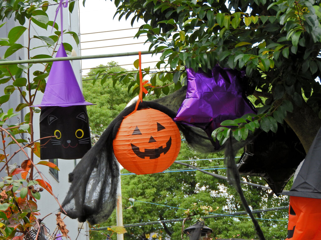 民家でハロウィン　３