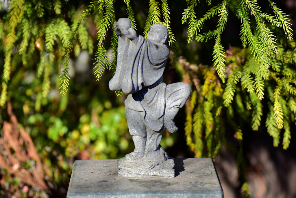 近所のお寺の参道にて・・・１３