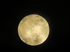 今宵のお月様・ビーバーMoon３