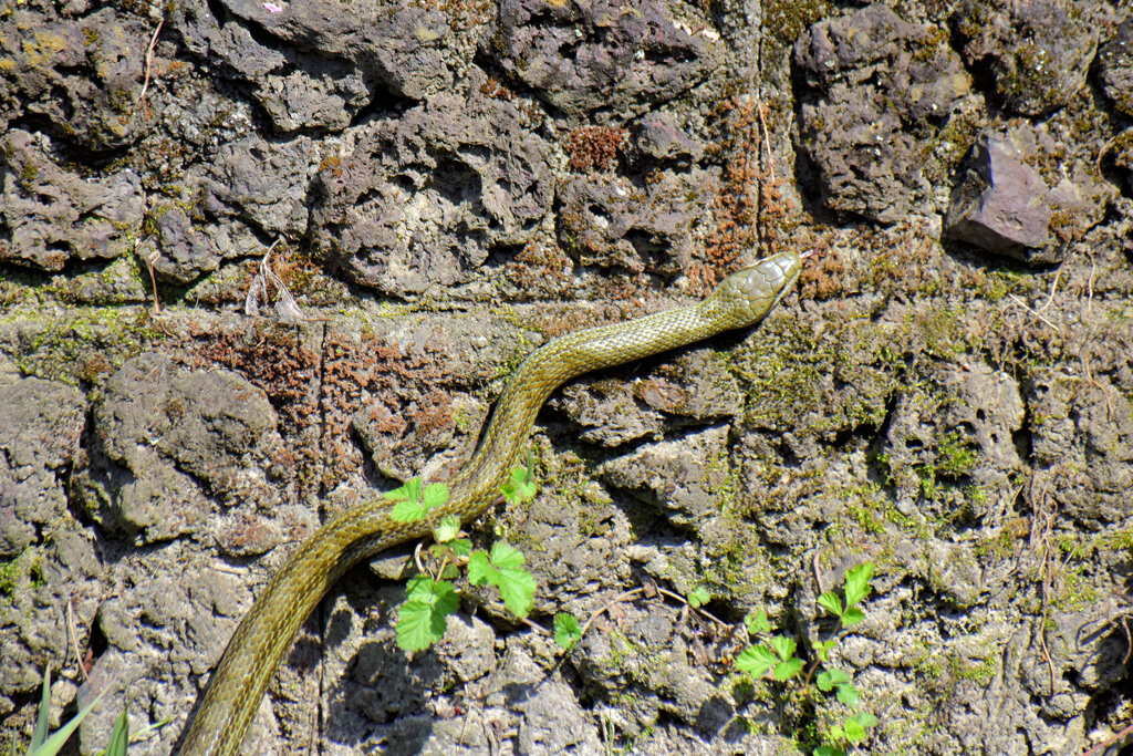 ヘビーにつき閲覧注意！　