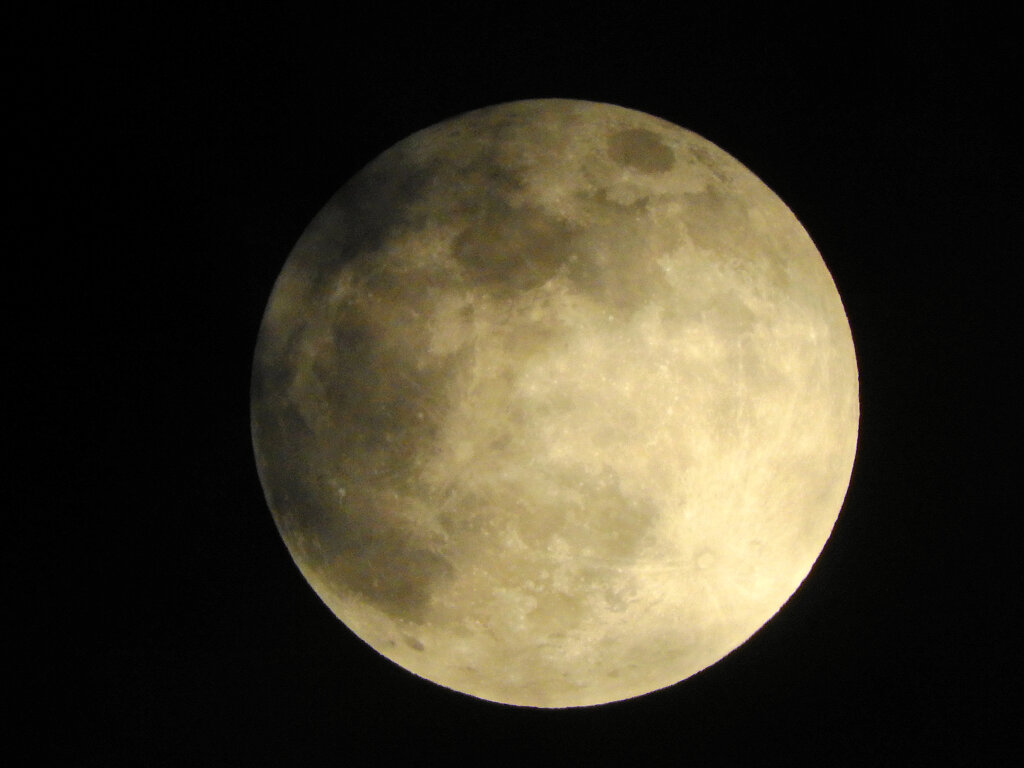 今宵のお月様・ビーバーMoon５