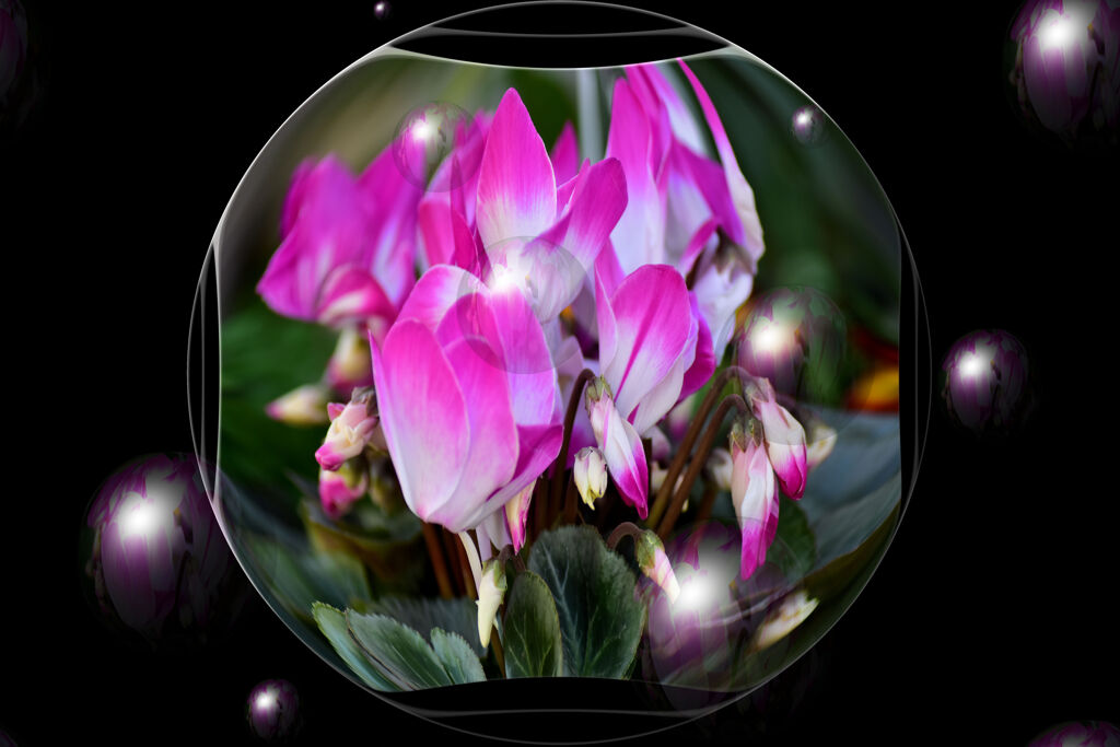 ♡年末のご挨拶♥