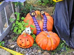ハロウィーン　１０