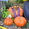 ハロウィーン　１０