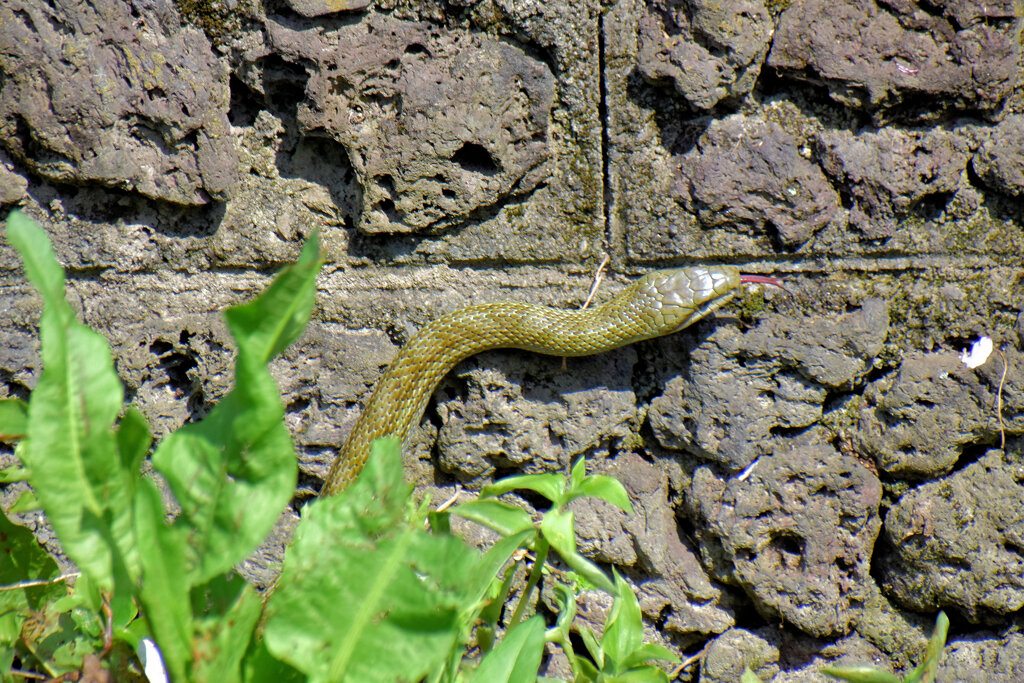 ヘビーにつき閲覧注意！　