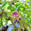 木通 （あけび）の雌花　２