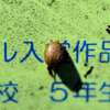 花壇の　マイマイ　２