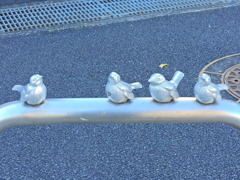 寒風にさらされて((´д｀)) ぶるぶる・・・さむ~~　４