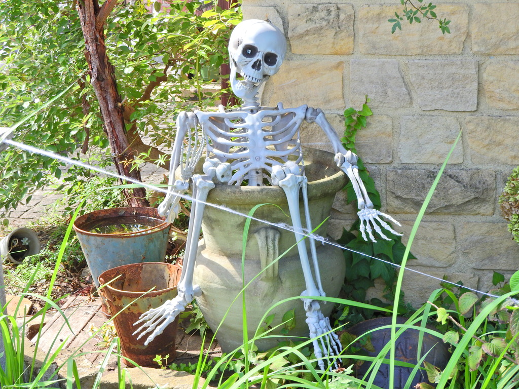 ハロウィーン　４