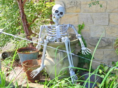 ハロウィーン　４