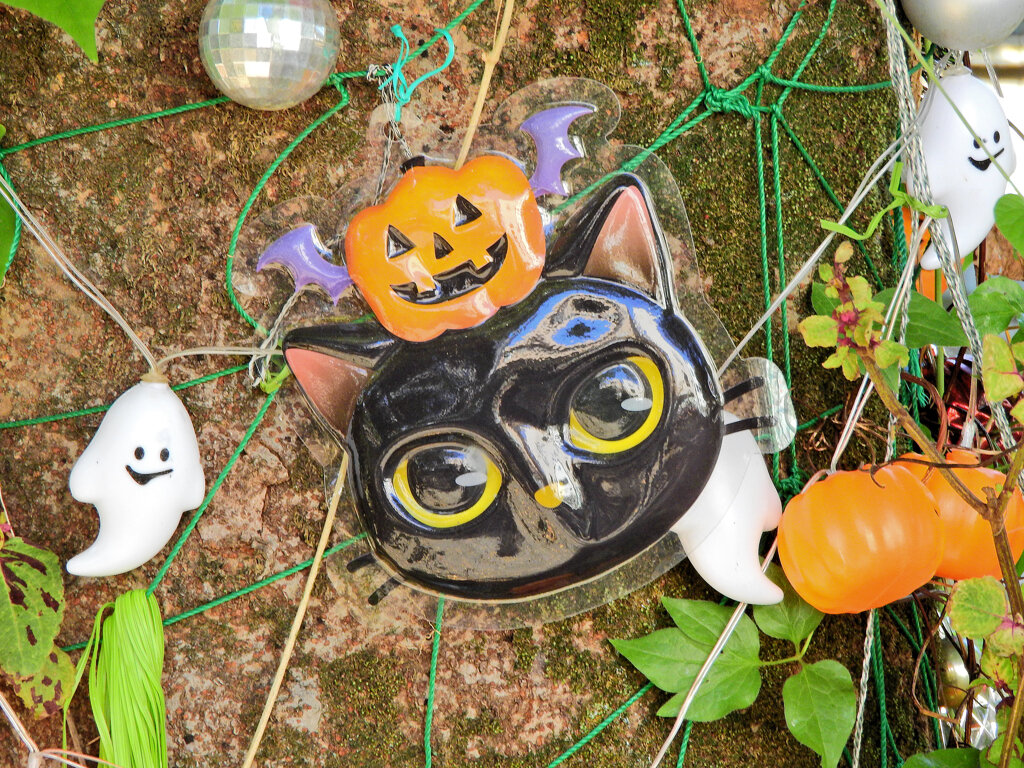 ハロウィン　８