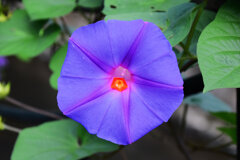 どうしてこうなった？＼(？。？")ハテ？