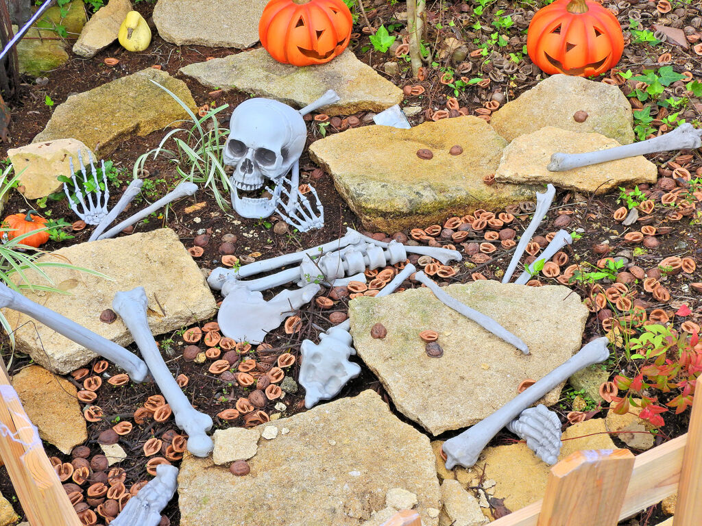 ハロウイン　グッツ　Shopの玄関で　１