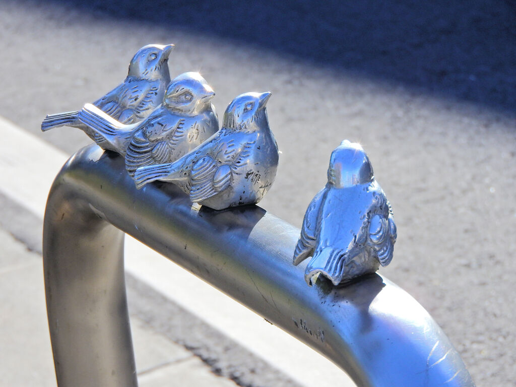 寒風にさらされて((´д｀)) ぶるぶる・・・さむ~~　１