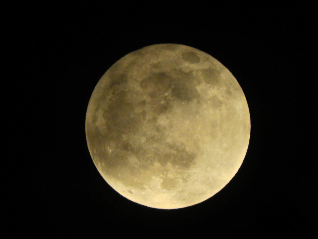 今宵のお月様・ビーバーMoon７