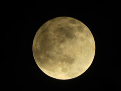 今宵のお月様・ビーバーMoon７