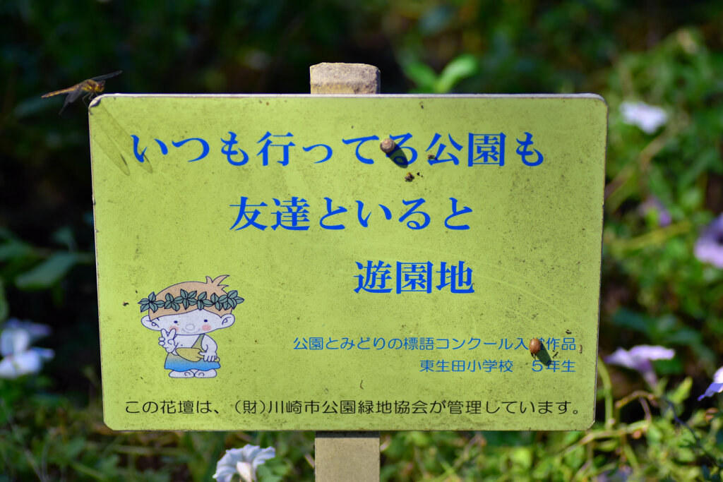 花壇の　マイマイ　１