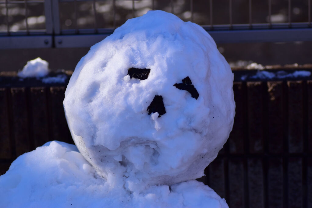 雪だるま　ハナミズ(￣￣ｉｉ￣￣)垂らしている（笑）