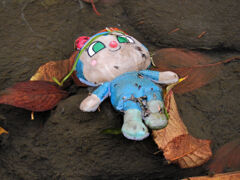 助けてぇ～　二ヶ領用水路に落ち葉と共に流れる・・・