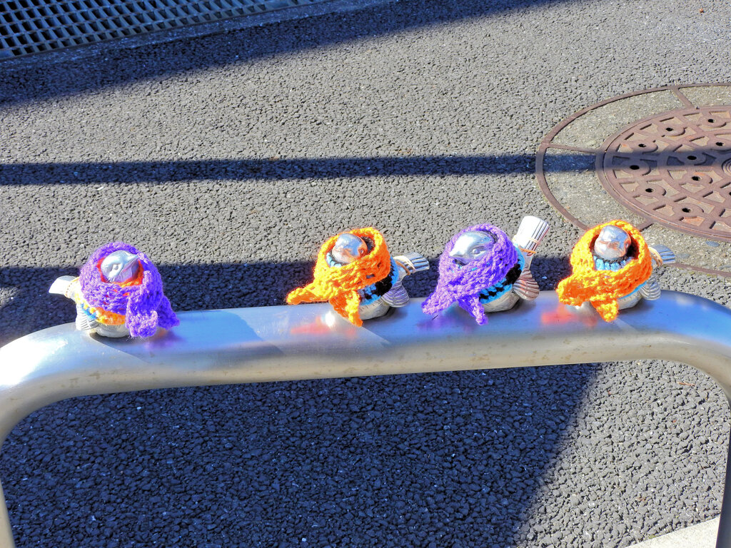 木枯らし1号が吹いたと聞いて・・服を着ました６