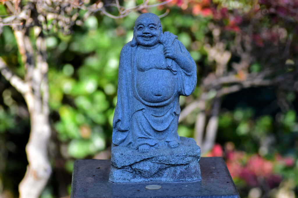 近所のお寺の参道にて・・・１６