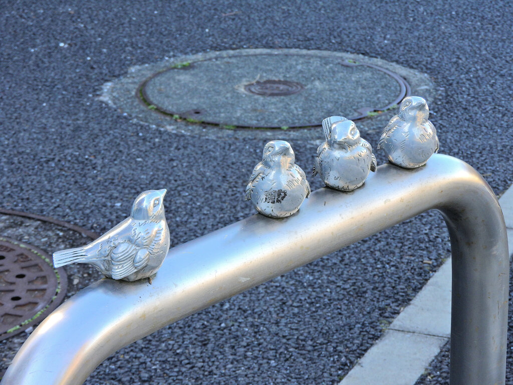 寒風にさらされて((´д｀)) ぶるぶる・・・さむ~~　５