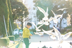 鳥と遊ぶ