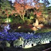 宝厳院　冬のライトアップ