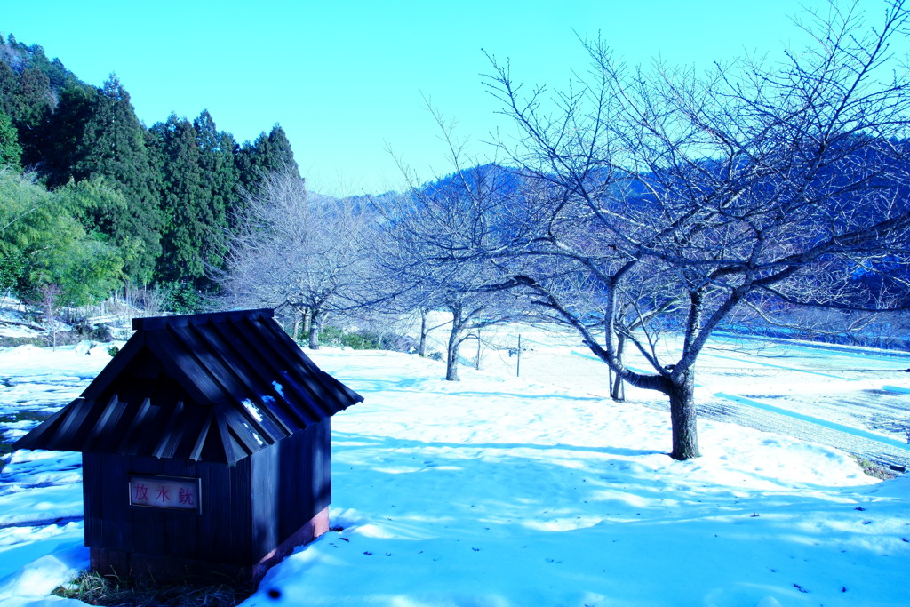 雪景色