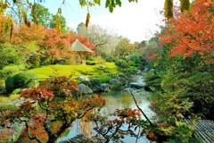 京都　妙心寺退蔵院の紅葉