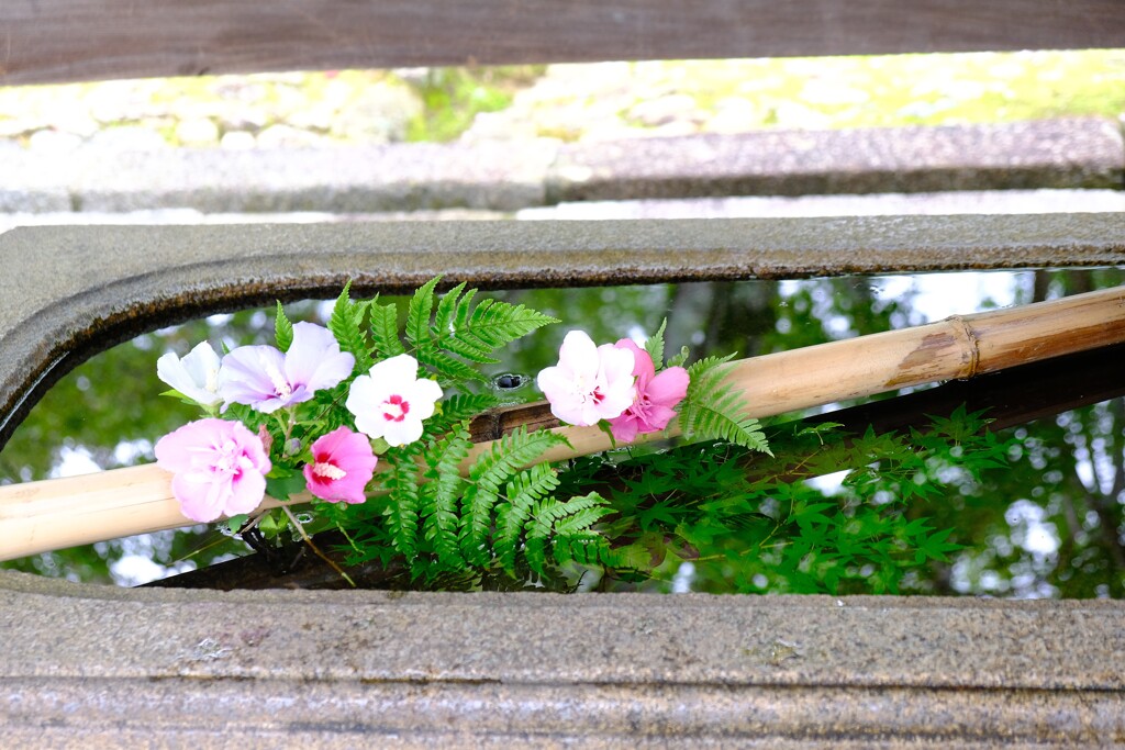 花手水