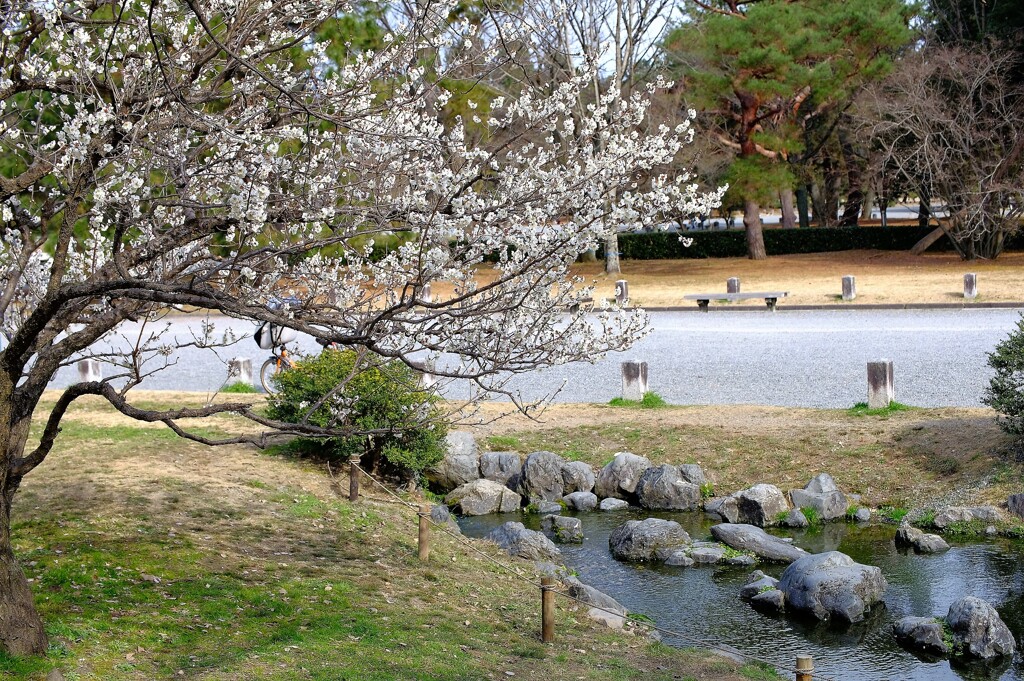 出水の小川