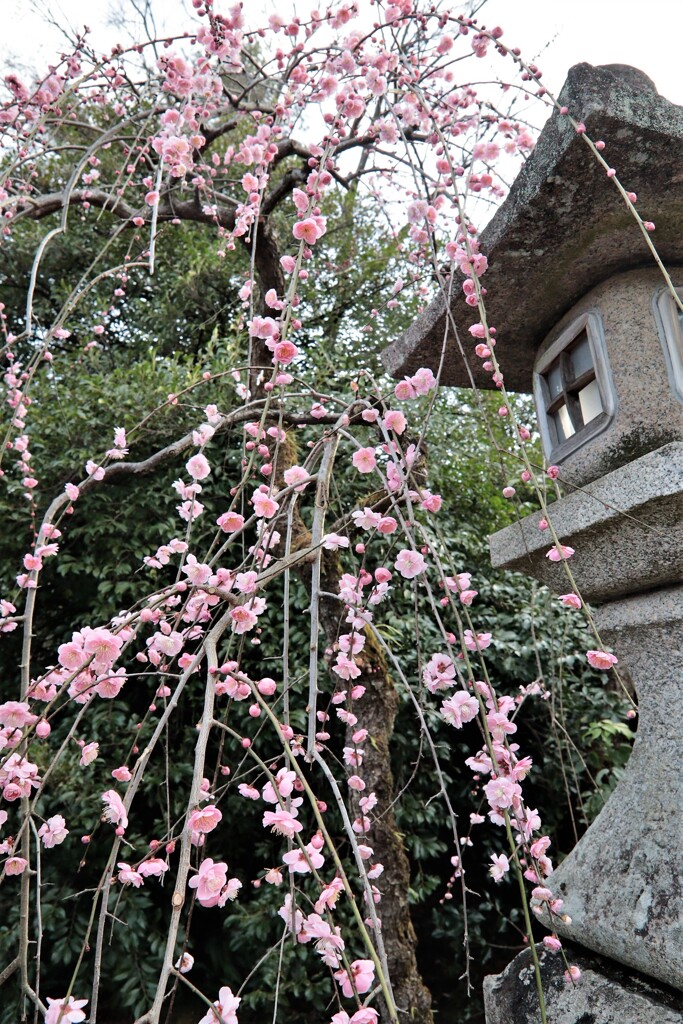 北野天満宮