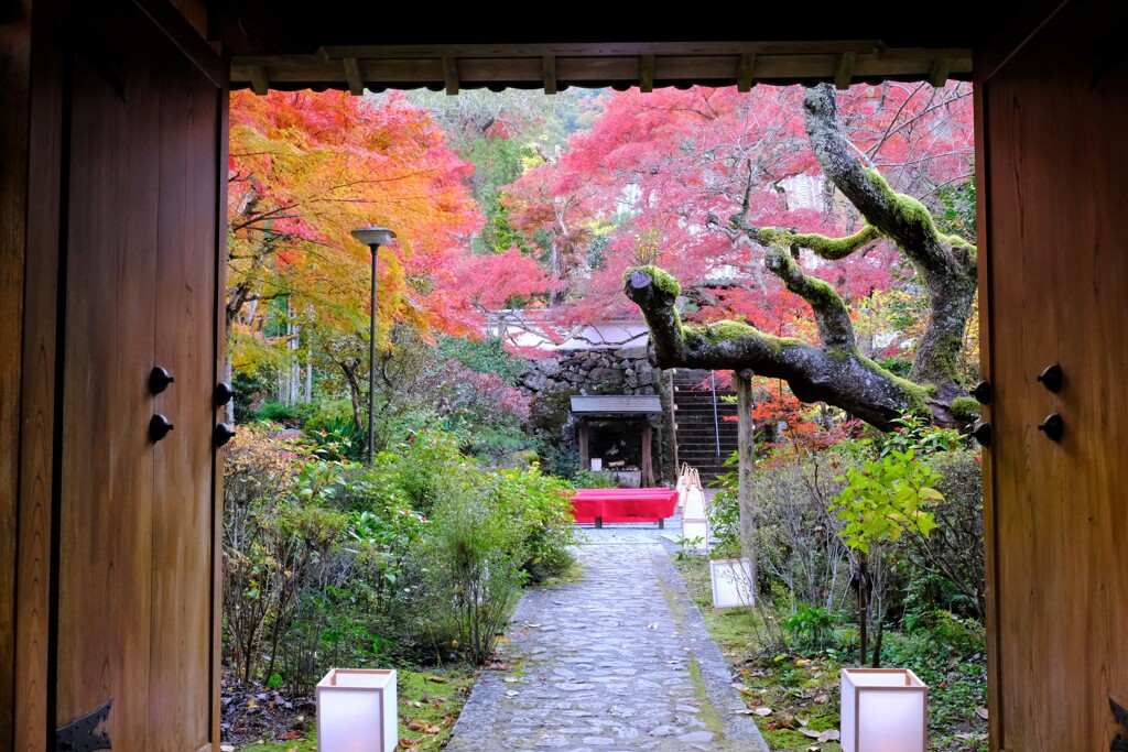 神蔵寺　紅葉