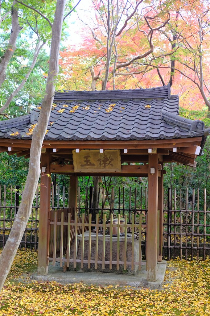 蓮華寺