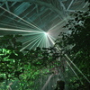 LIGHT CYCLES KYOUTO
