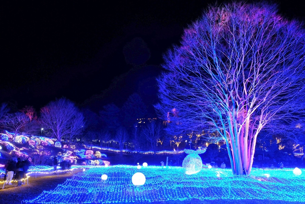 IMG_20171217_京都イルミナーレ